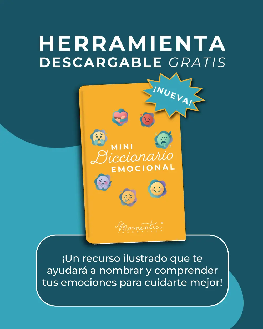 portada-mini-diccionario